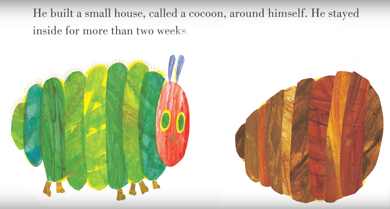 The Very Hungry Caterpillar Book Read Aloud | Childrens Books TV