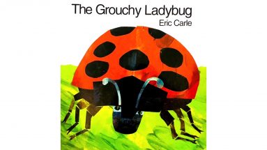 The Grouchy Ladybug Book Read Aloud